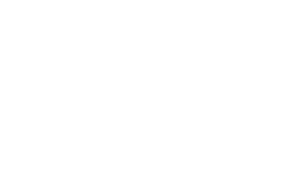 Credit Score