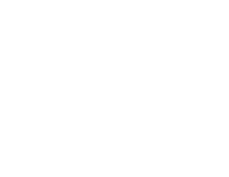 Diamond Auto Broker